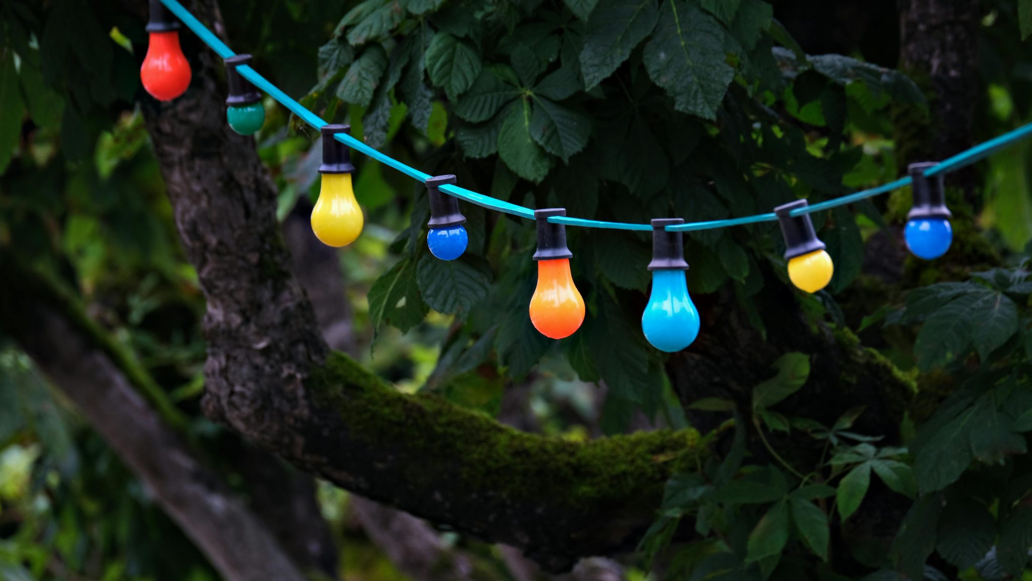 Colorful string lights in a garden setting create a festive atmosphere. Perfect for celebrations.